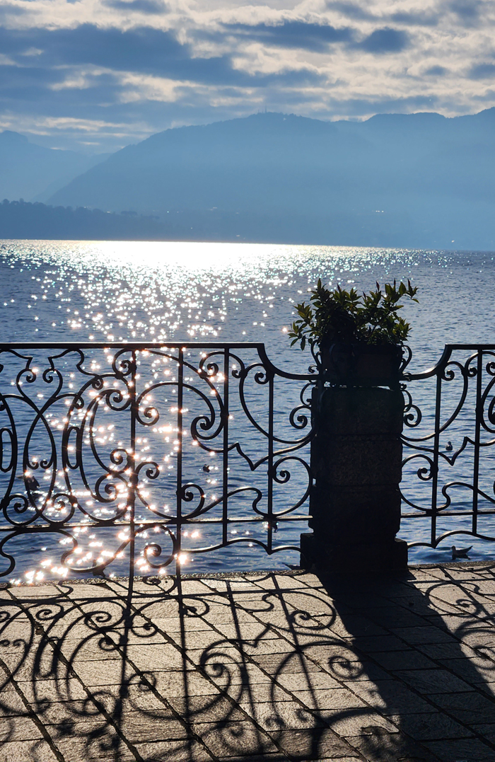 rug art nyc lake como stories