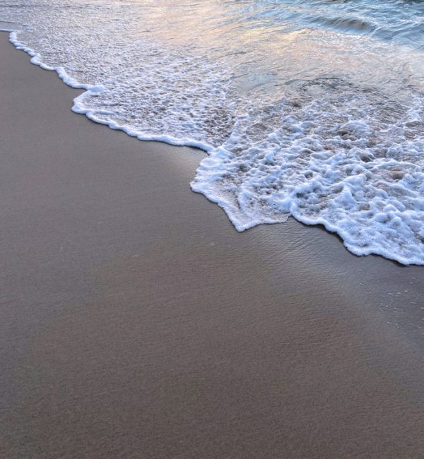surf8991808